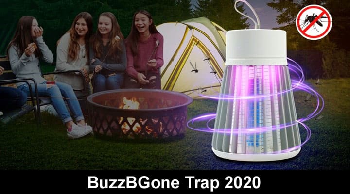 BuzzBGone Trap 2020