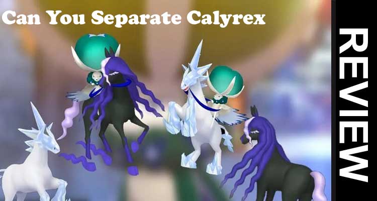 Can You Separate Calyrex 2020