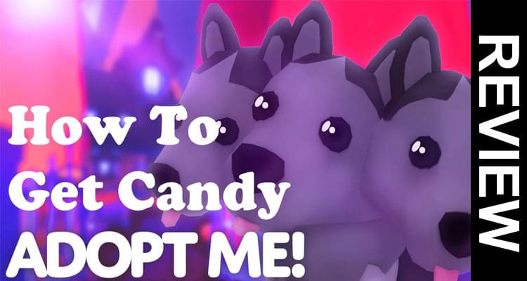 How to Get Candy in Adopt Me 2020