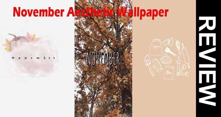November Aesthetic Wallpaper (Oct 2020) Find the Best!