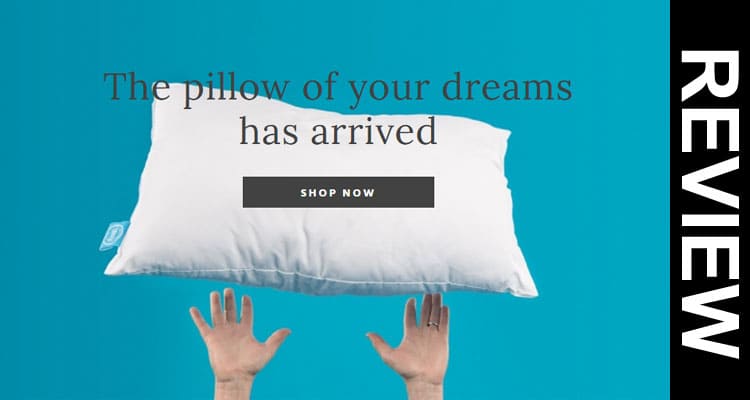 Is One Fresh Pillow Legit 2021