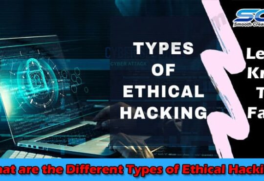 What are the Different Types of Ethical Hacking 2021