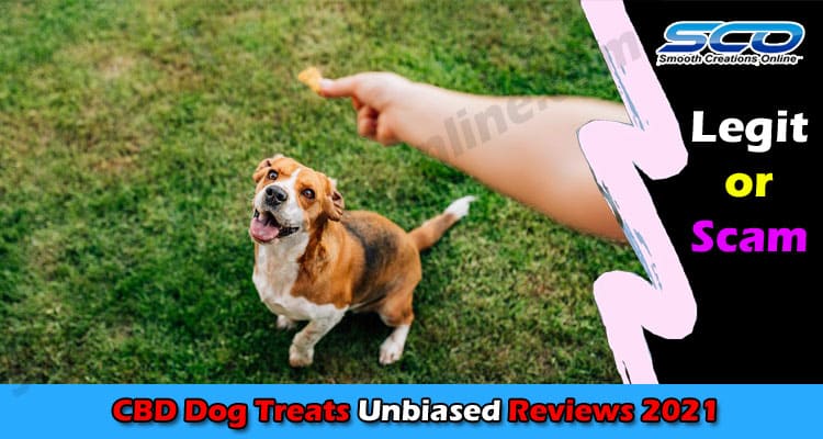 CBD Dog Treats Online Reviews