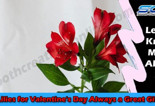 Latest News Lilies for Valentine's Day Always a Great Gift