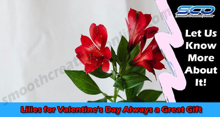 Latest News Lilies for Valentine's Day Always a Great Gift