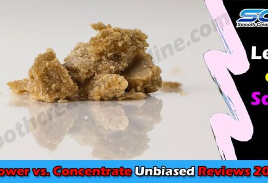 Latest News Flower vs. Concentrate