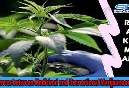 Health Tip Differences between Medicinal and Recreational Marijuana