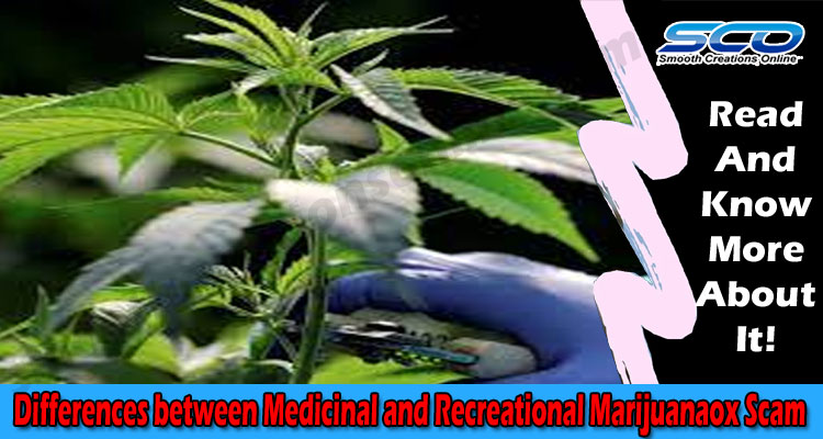 Health Tip Differences between Medicinal and Recreational Marijuana