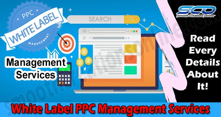 How to Improve Your PPC Campaign with White Label PPC Management Services
