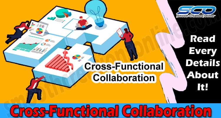 Cross Functional Collaboration: What Is It, What Are Its Benefits, And How An LMS Can Help Improving It?