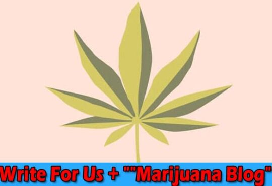 About General Information Write For Us + Marijuana Blog