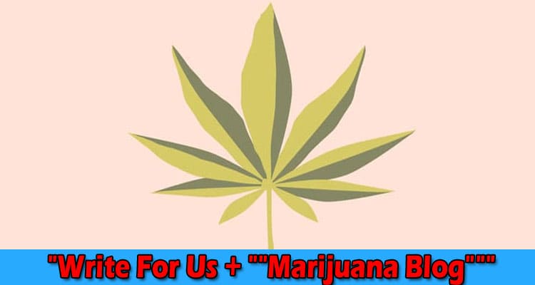 “Write For Us + “”Marijuana Blog””” – Follow Guidelines!