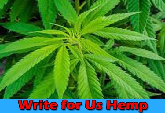 About General Information Write for Us Hemp