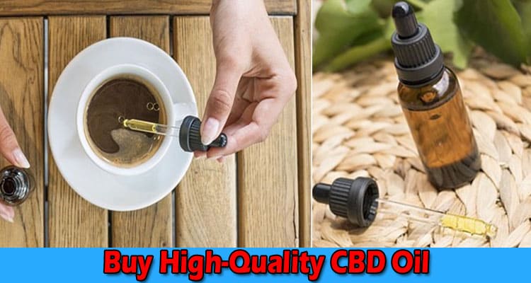 Complete Information About How to Decide Where to Buy High-Quality CBD Oil