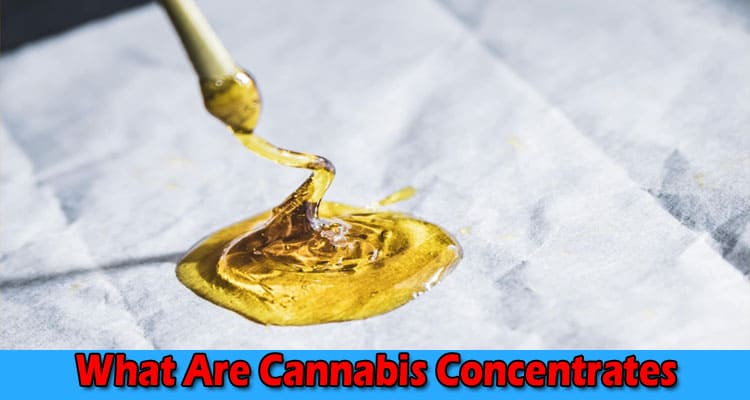 Complete Information About What Are Cannabis Concentrates - Their Types and Uses